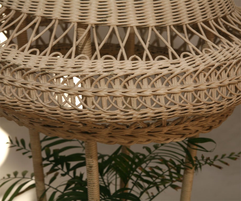Reed Wicker Floor Lamp/Fernery For Sale